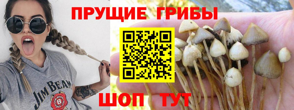 Галлюциногенные грибы мухоморы Салехард